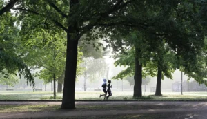 運動は闇雲に動かず、効率良く